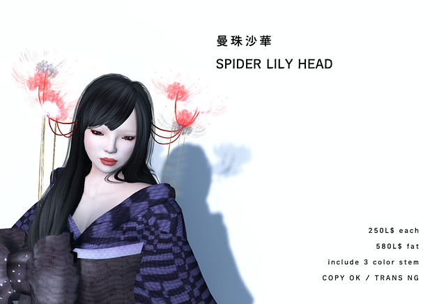 *N*SPIDER LILY