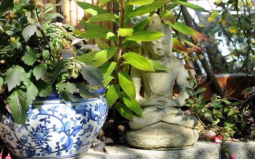 Buddha meditating under leaves, work never ends kids so meditate no matter what happens, blue and white planter, fushia, snall shell, mirror, bamboo fence, A Garden for the Buddha, Seattle, Washington, USA by Wonderlane
