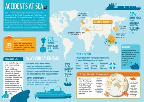 WWF於世界海洋日發佈最新研究，指出許多世界重要海洋因為航運事故頻傳而陷入危機。圖片來源：WWF 。