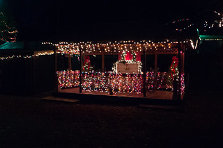 Pacolet Christmas Lights-003