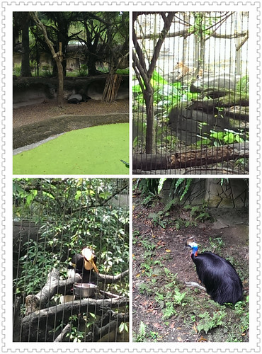 臺北zoo
