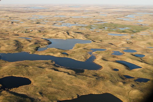 An aerial view of the Prairie Pothole Region, near Wing, North Dakota. Credit: Jim Ringelman, Ducks Unlimited, used with permission.