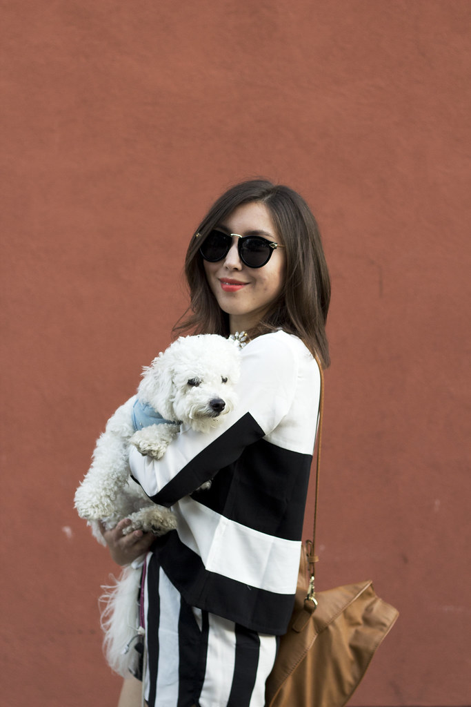 mallory of readytwowear, readytwowear, berkely fashion blog, bichon frisee, cute dog