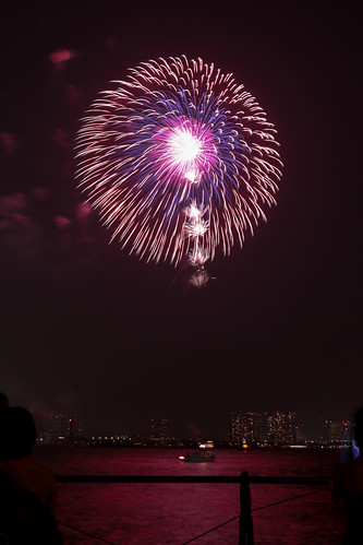 「昇曲付 三重芯 菊先変化 銀乱」 by 新山良洋 東京湾大華火 2013 Tokyo Bay Grand Fireworks