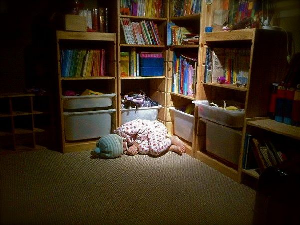 Library sleeper