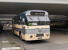 Vintage & modern busses