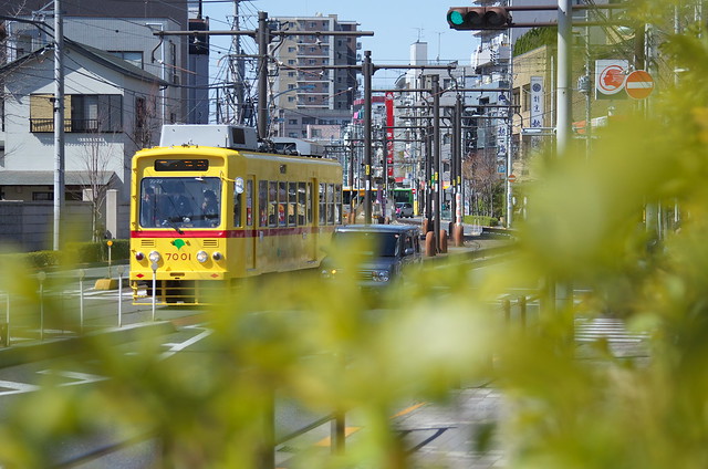 Tokyo Train Story 都電荒川線 2014年3月8日