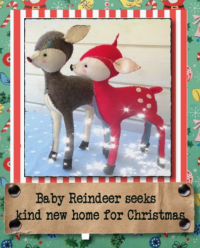 Baby Reindeer Giveaway
