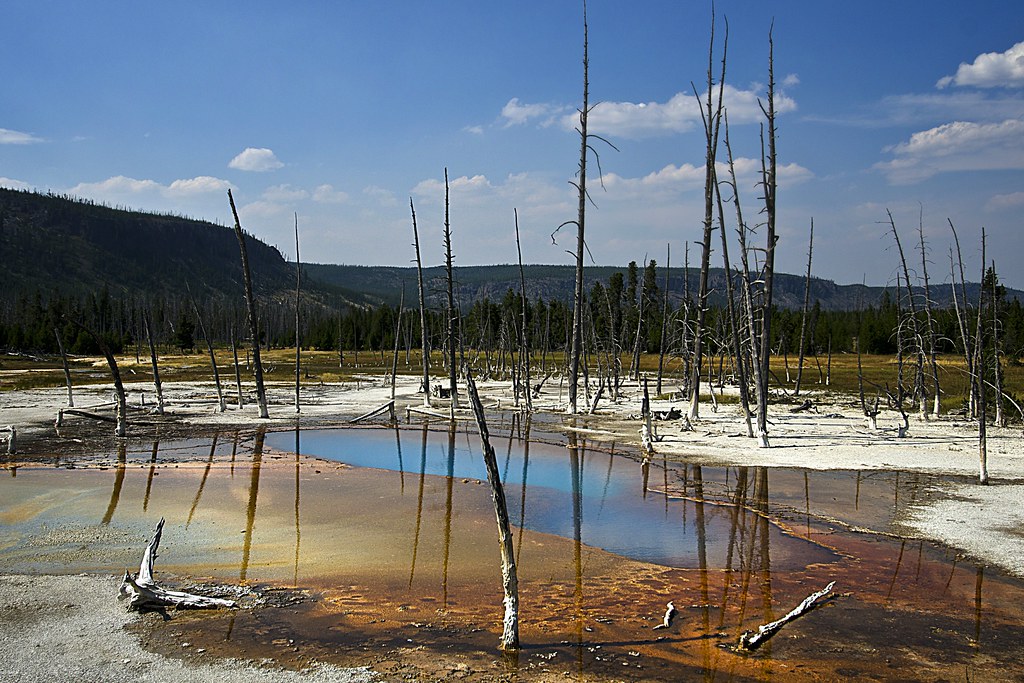 Yellowstone Springs