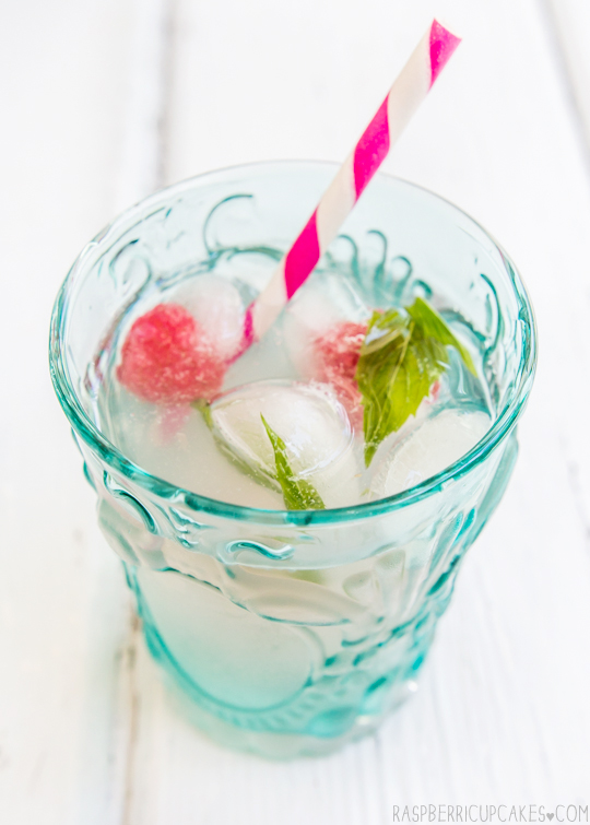 Rhubarb & Ginger Cordial with Mint & Raspberry Ice