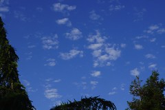			Klaus Naujok posted a photo:	We seldom have these types of clouds, espeacially not in June. All photos taken with the Sony DT 18-55mm F/3.5-5.6 (SAL-1855) lens.