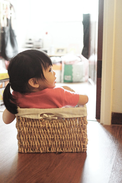 little basket life