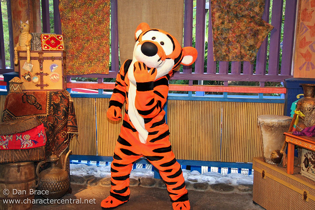 Meeting Winnie the Pooh and Tigger