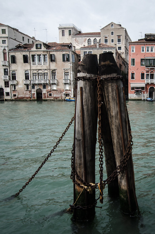 Moorings along the Grand Canal in Venice.