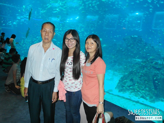 sea aquarium marine life park resort world sentosa singapore (66)