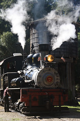 Roaring Camps Railroad