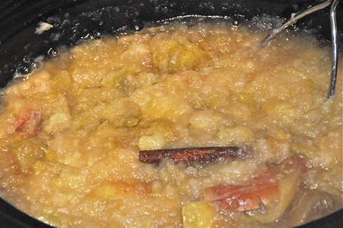apple sauce in the slow cooker 16