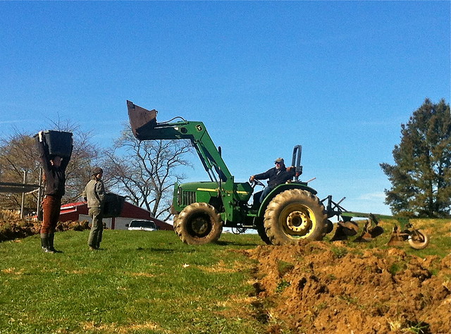 moldboard plow at HGC farm - 4