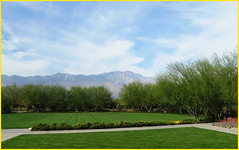 Sunnylands Desert Gardens, Palm Springs, CA