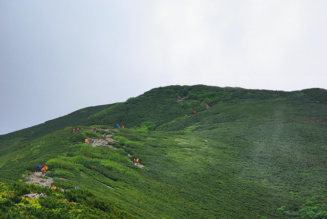 仙丈ヶ岳への登山道