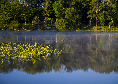 Kendall Lake Morning