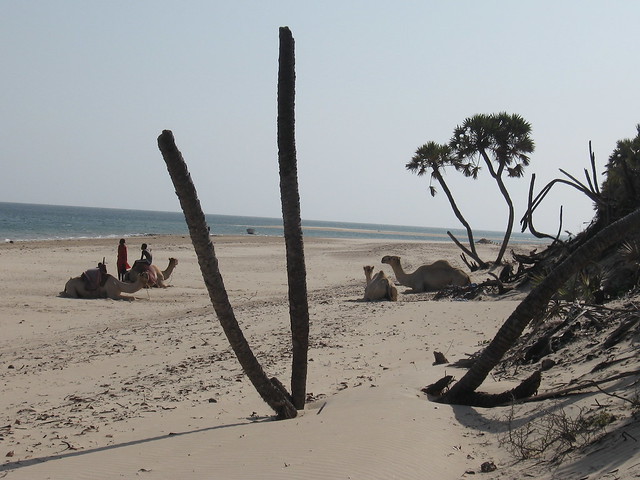 Кения: пляжи от А до Я