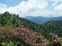 Great Smoky Mountains National Park, NC/TN