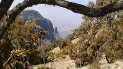 ethiopia/ethiopie - parc de  SIMIEN  park