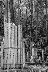 Cemetary in a Kyoto shrine