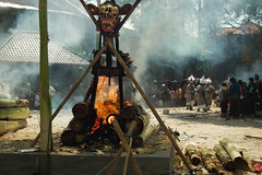 Cremation Cerimony (Bali)