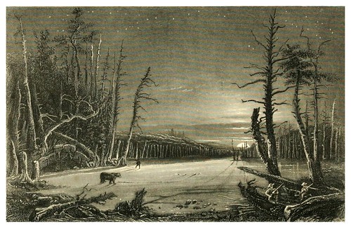 013- Forest, rock, and stream- 1886- W.H. Bartlett y otros