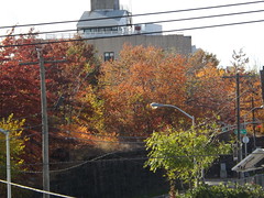 Autumn Foliage on the Sixth Street Embankment, Jersey City