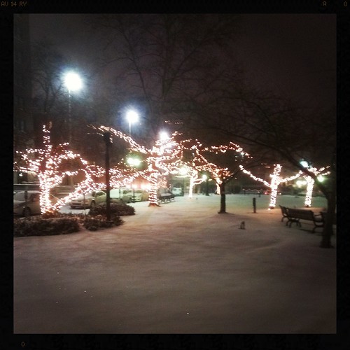 Snowy Lytle Park...