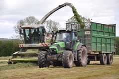 Silage & Maize 2013
