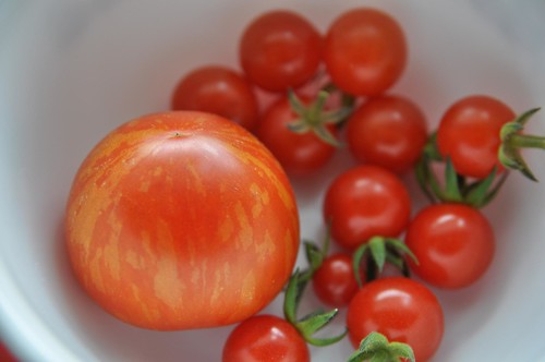 tomatoes!