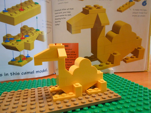 Camel1