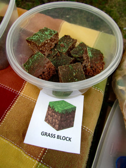 Grass Blocks
