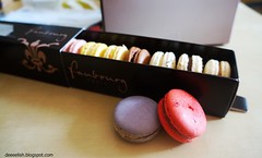 Macarons at Faubourg