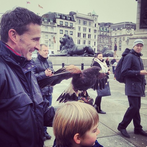LCC Lion Tour eagle at Trafalgar Square. #eagle #urban #lions #instagram #iphone5c #london #lcc