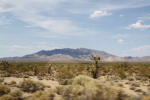 Mojave National Preserve 2013