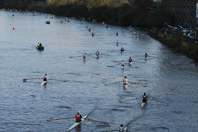Scullers Head 2013