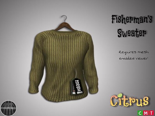AD Men's Casual Sweater Pine by CitrusDesigns