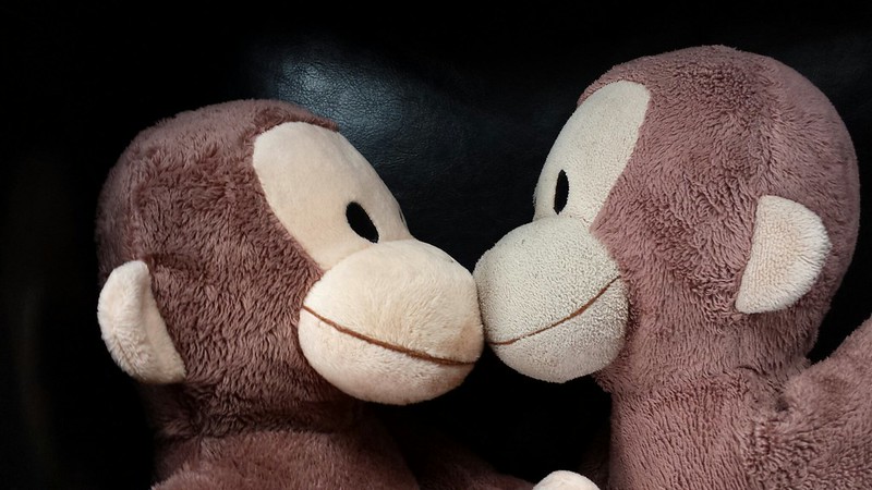 Evil twin Monkey (on the left)