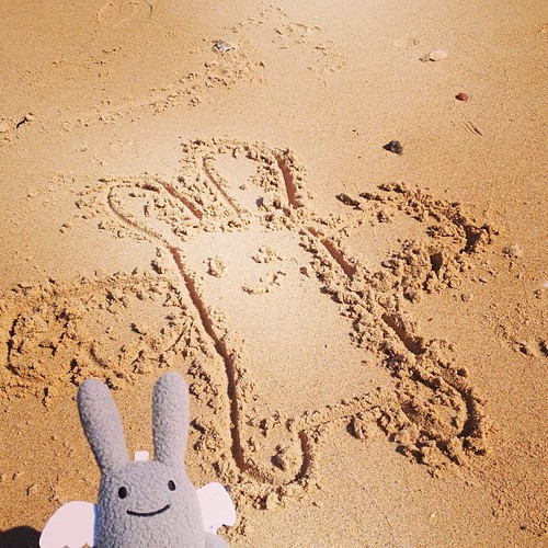 Angel Bunny on the beach.