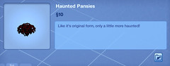 Haunted Pansies