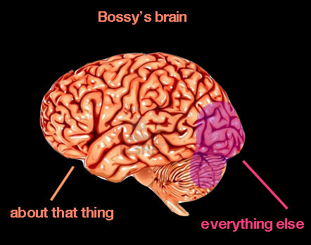 iambossy-brain-georgia-getz