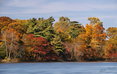 Connetquot River in Autumn by Alida's Photos
