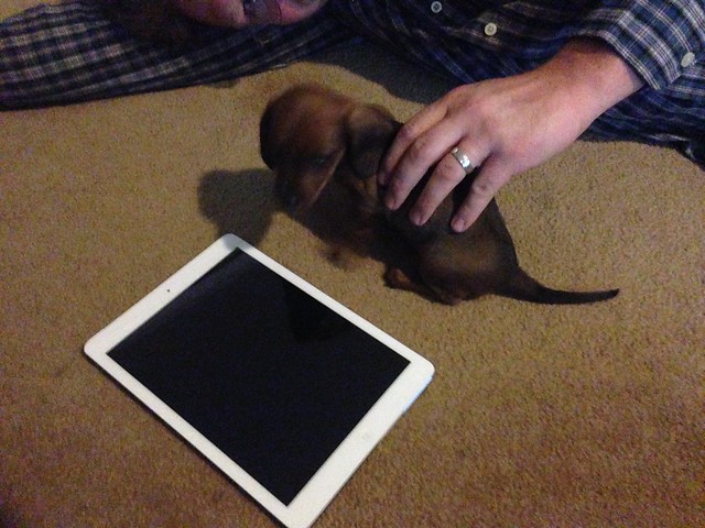 Big as an iPad