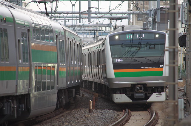 Tokyo Train Story 東北本線 2014年1月26日