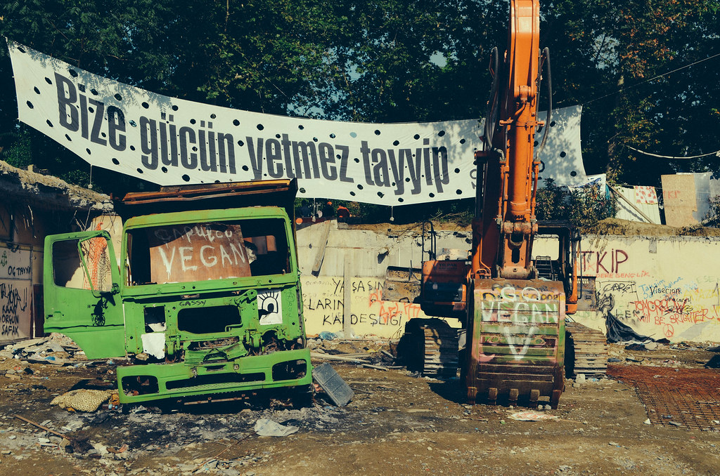 Goodbye Istanbul Protests-14